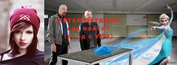 прущие грибы Бородино