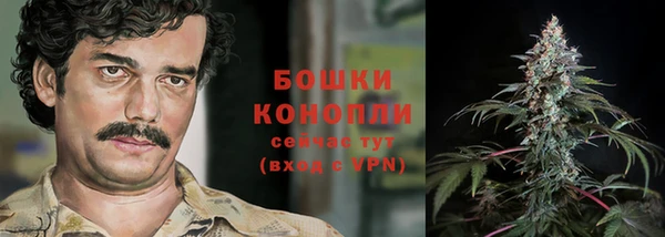 прущие грибы Бородино