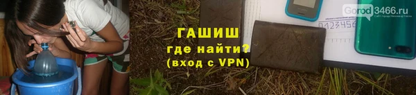 прущие грибы Бородино