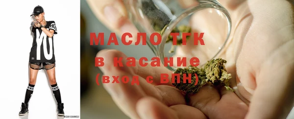 прущие грибы Бородино