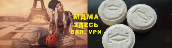 прущие грибы Бородино