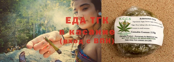прущие грибы Бородино
