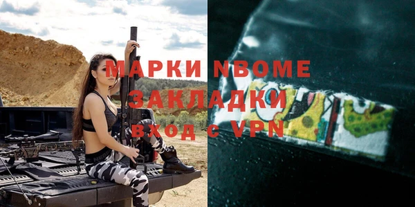 прущие грибы Бородино