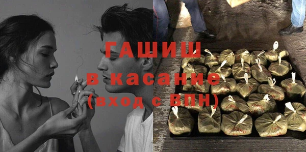 прущие грибы Бородино
