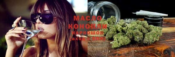 прущие грибы Бородино